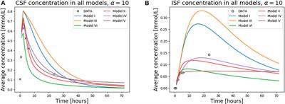 CSF circulation and dispersion yield rapid clearance from intracranial compartments